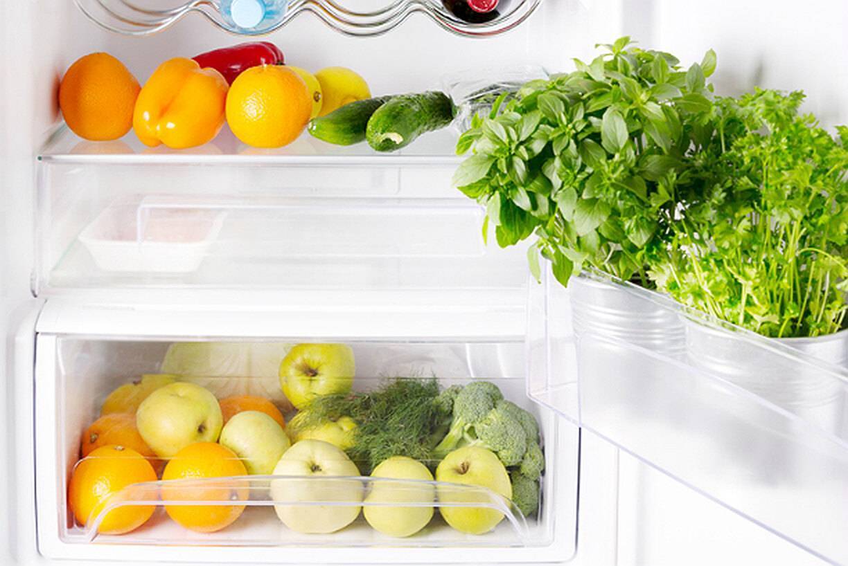 Как хранить розмарин в домашних условиях в холодильнике и при комнатной температуре в свежем и сухом виде – сад и огород своими руками