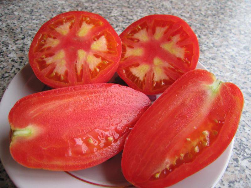 Помидоры петруша-огородник. описание томата с сибирским характером