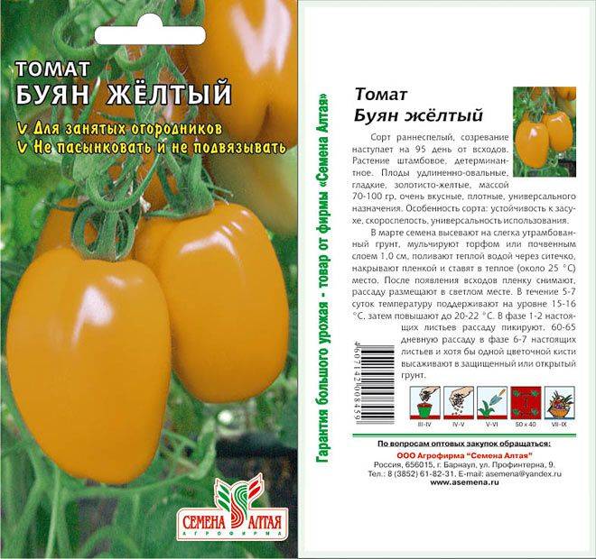 Описание сорта томата желтый шар, особенности выращивания и ухода
