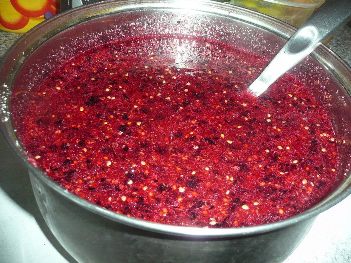 Пошаговые рецепты приготовления соуса из красной смородины на зиму