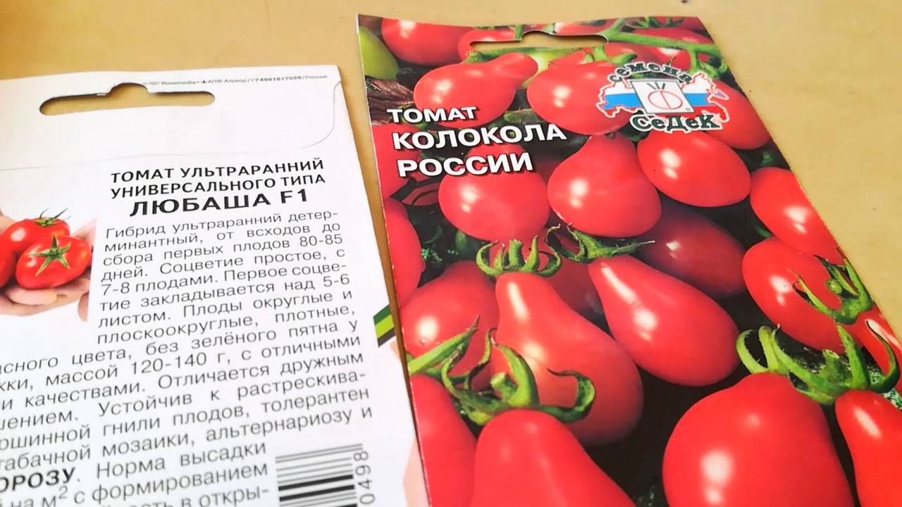 Сорт томата «колокола россии»: описание, характеристика, посев на рассаду, подкормка, урожайность, фото, видео и самые распространенные болезни томатов