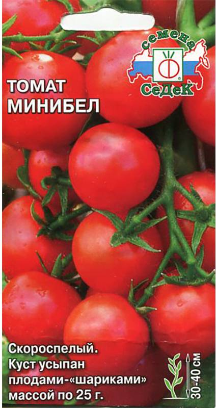 Томат минибел: характеристика и описание сорта с фото, как выращивать помидор, его урожайность, отзывы