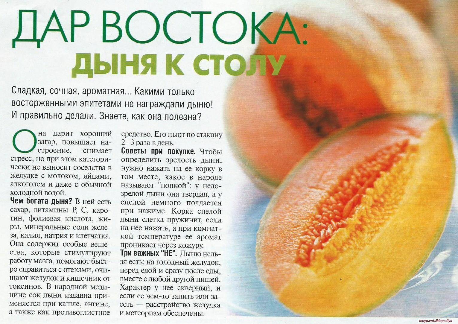 Какой сахарозаменитель лучше: рейтинг из натуральных и синтетических