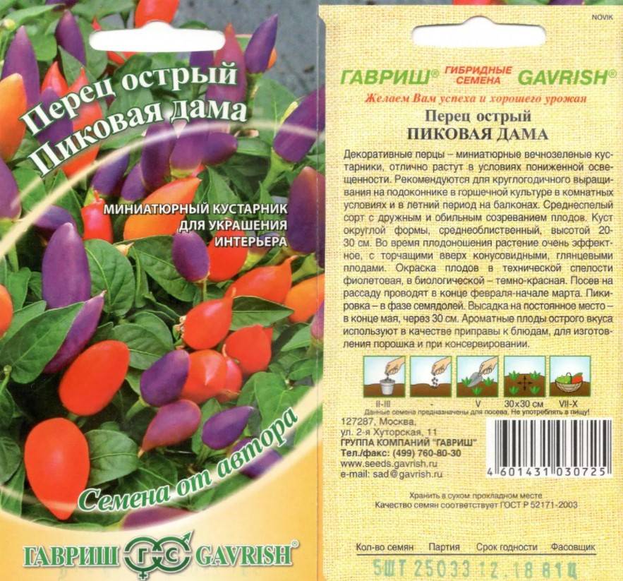 Декоративный комнатный перец: выращивание цветка в горшке из семян, уход, и как вырастить перчик в домашних условиях, съедобен ли любимец или нет и с чем можно есть?