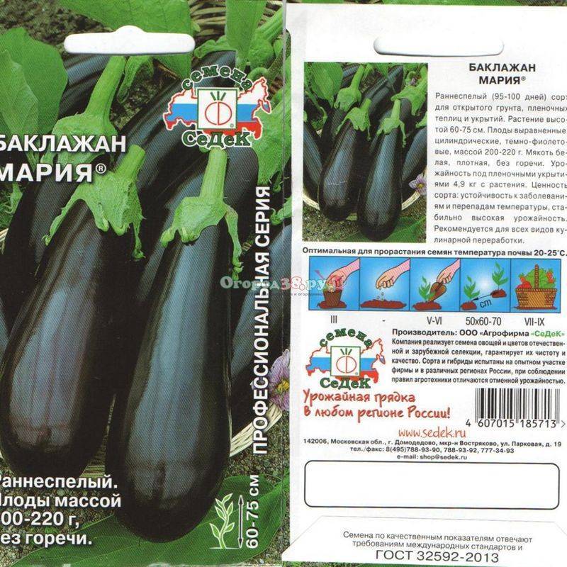Топ-25 урожайных сортов баклажан для открытого грунта