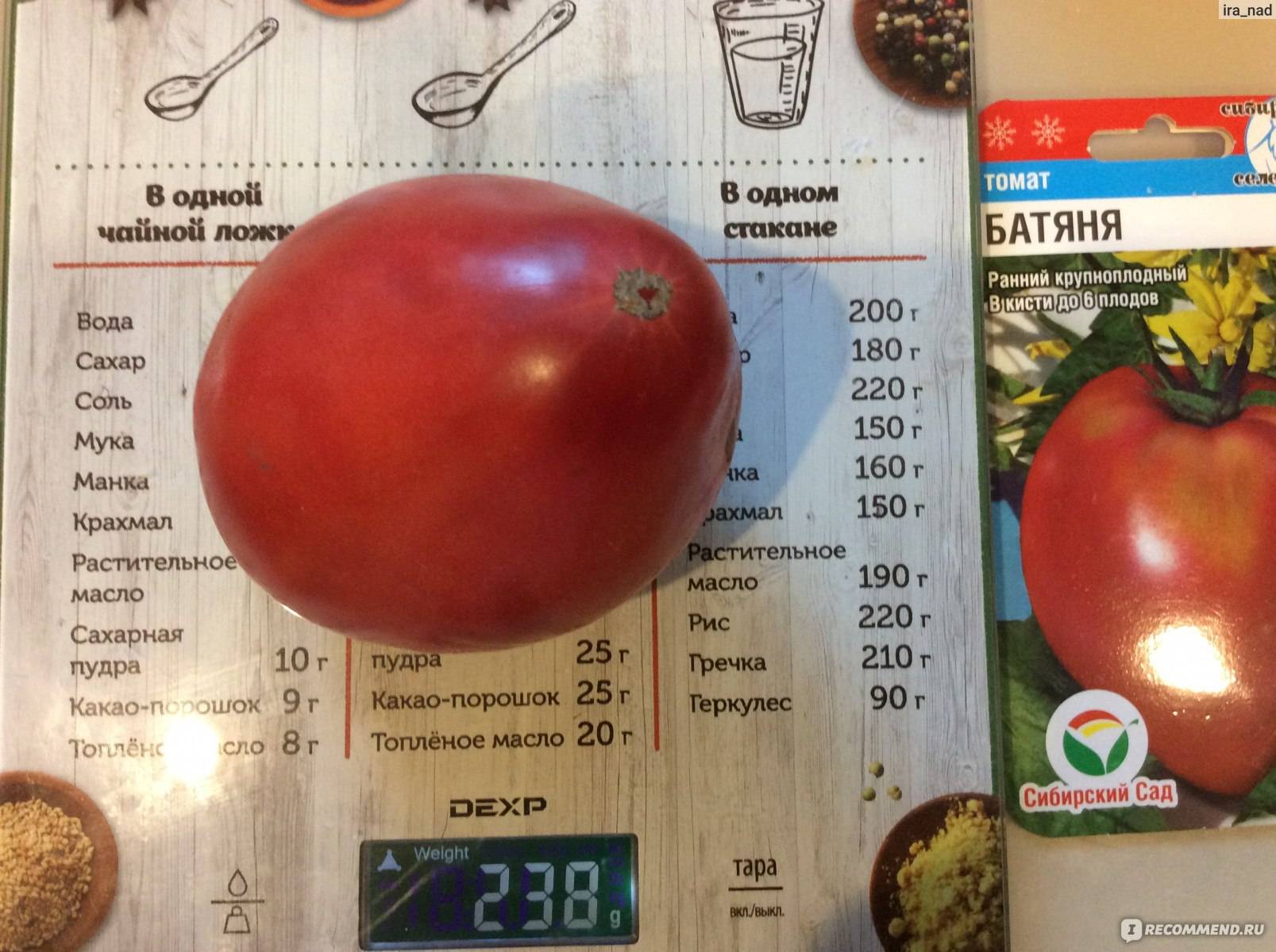 Высокорослый сорт томатов батяня