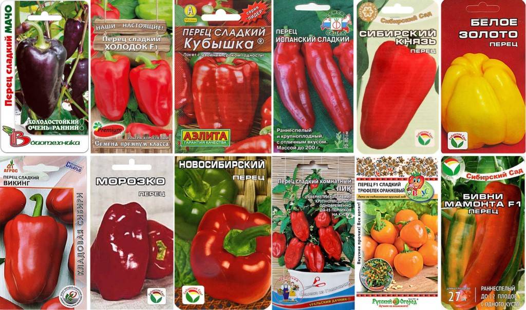Проверенные сорта томатов для урала и сибири: лучшие разновидности для открытого грунта и теплиц. самые урожайные томаты для урала: как выбрать лучшие сорта