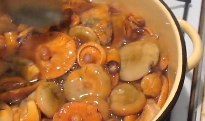Рыжики маринованные на зиму: рецепты приготовления горячим способом