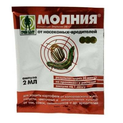 Лучшие средства от колорадского жука