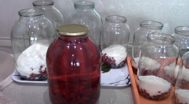 Компот из вишни на зиму — пошаговые рецепты вишневого компота
