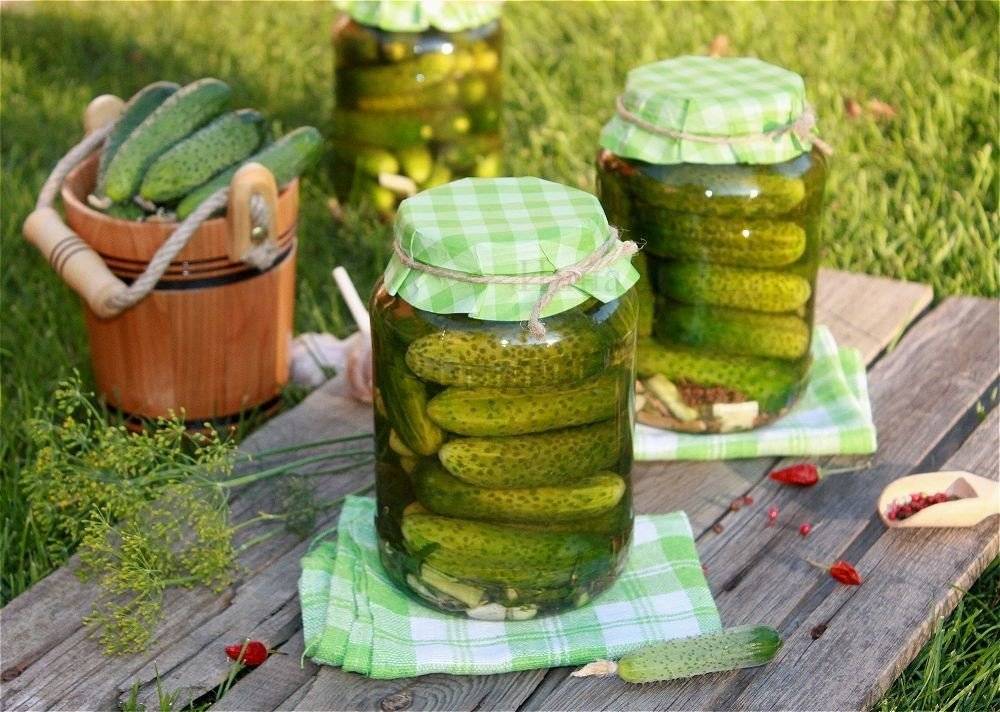 Хрустящие маринованные огурцы — 6 очень вкусных рецептов на зиму