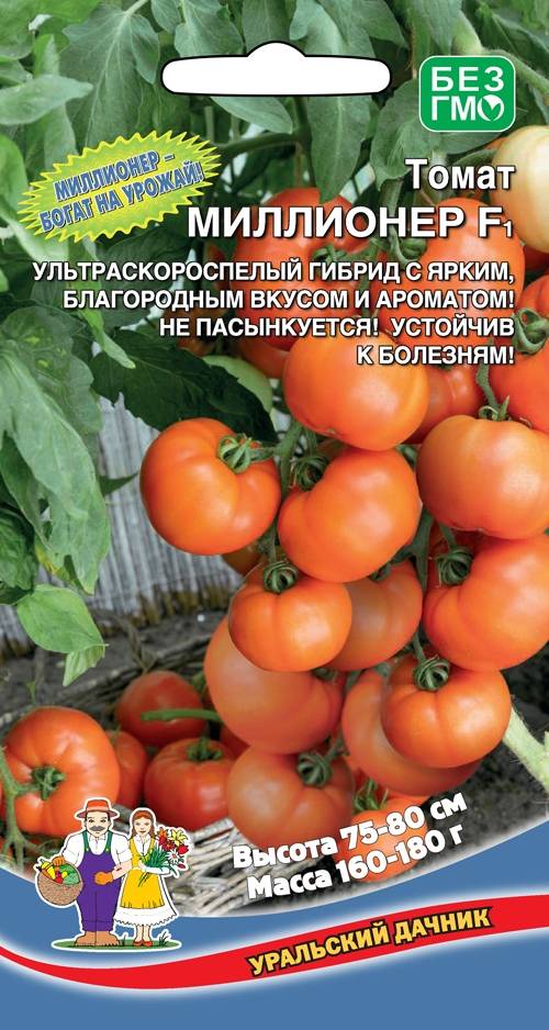 Томат валютный: характеристика и описание сорта, пошаговая инструкция по выращиванию, а также рекомендации по сбору урожая и фото помидоров