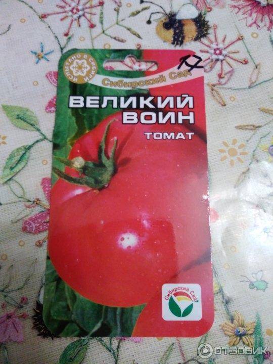 Томат великий воин: описание сорта, фото, отзывы, урожайность
