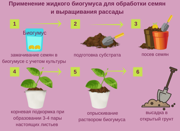 Биогумус для рассады инструкция по применению жидкий. Обработка семян.