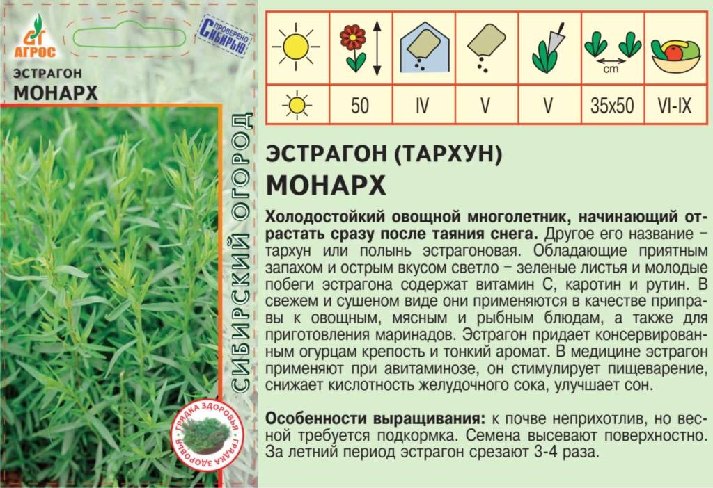 Трава тархун фото и описание и применение