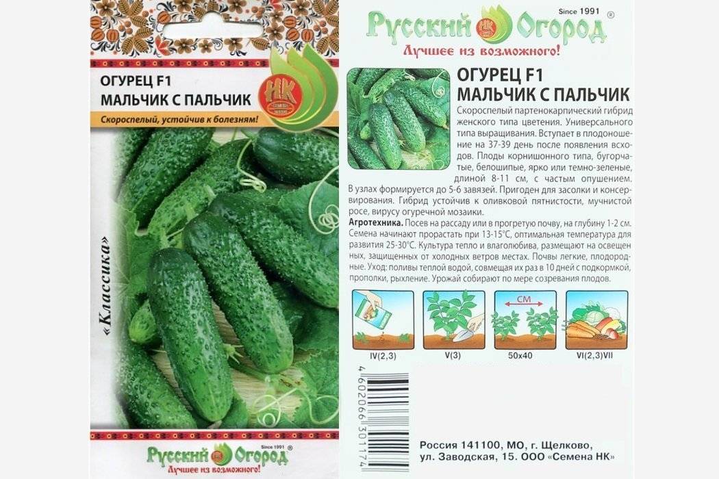 Лучшие сорта огурцов для открытого грунта: топ-20 самых урожайных и вкусных зеленцов