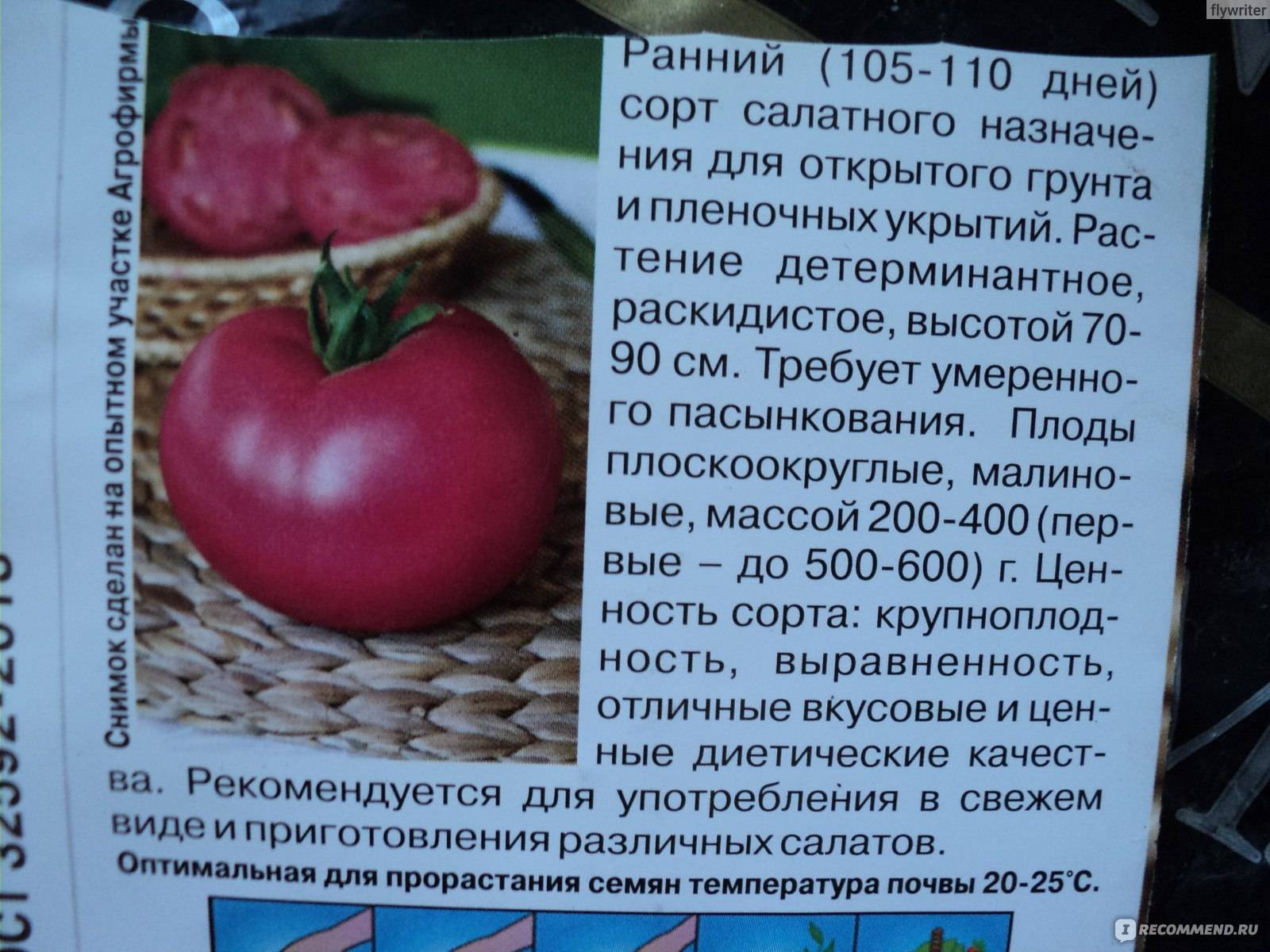Ароматный сорт с отличной устойчивостью к засухам — томат малиновое виконте: описание помидоров и характеристики