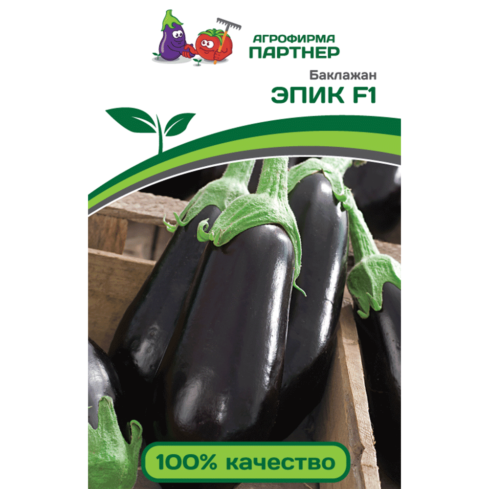 Баклажан эпик: особенности и культивирование популярного сорта