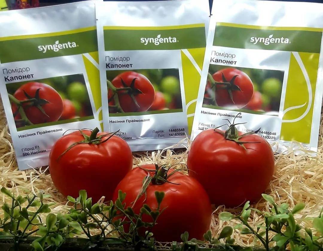 Описание томата садовая жемчужина и агротехника выращивания сорта