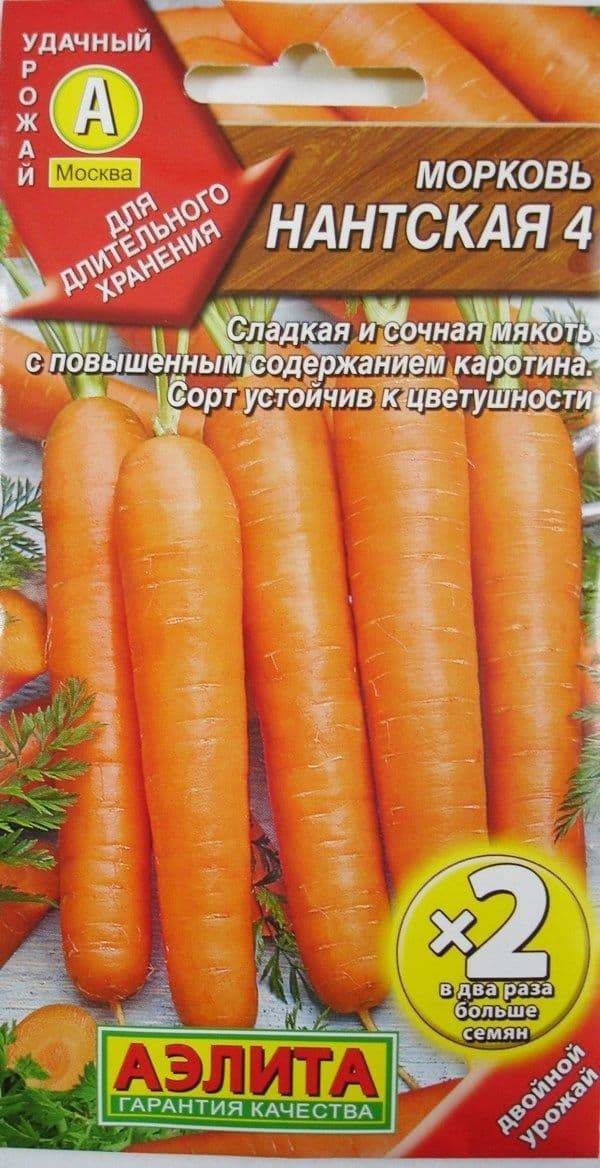 Морковь нантская – высокое содержание каротина и сахара