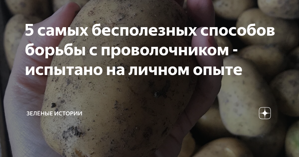 Причины почему ничего не растет на участке