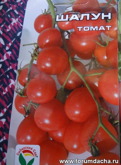 Томат шалун: характеристика и описание сорта, отзывы об урожайности, фото помидоров