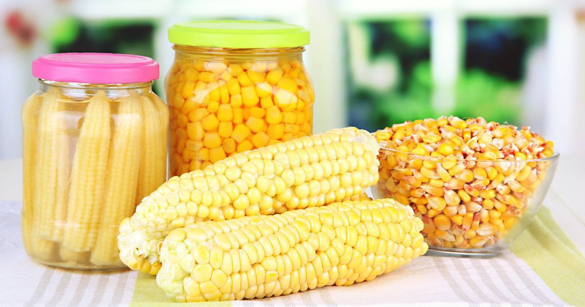 Как заморозить кукурузу на зиму: топ-4 рецепта, полезные советы