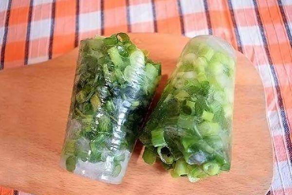 Как заморозить зеленый лук на зиму: рецепты и советы