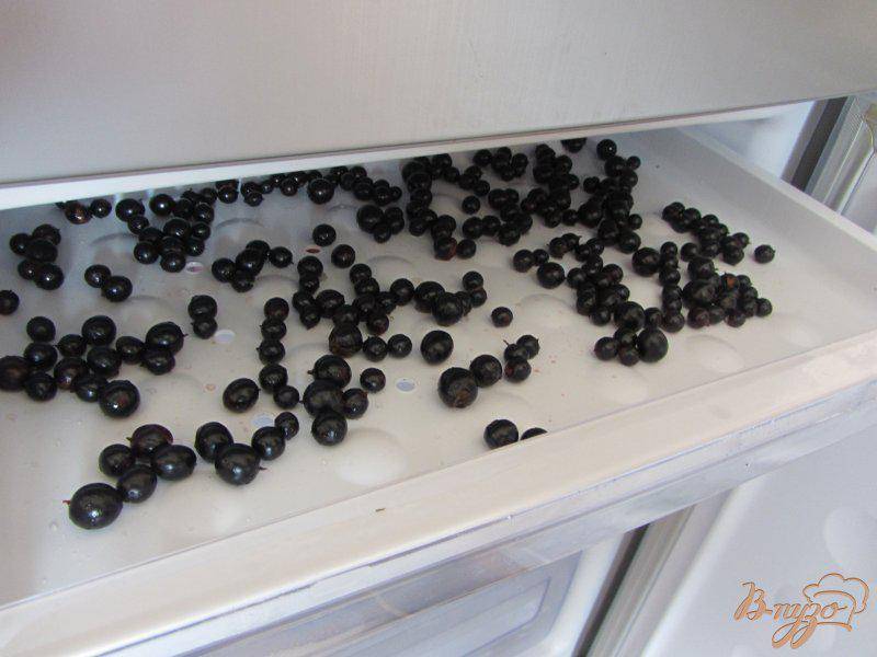 Как сушить черную смородину в домашних условиях, сушка в электросушилке, полезные свойства ягод