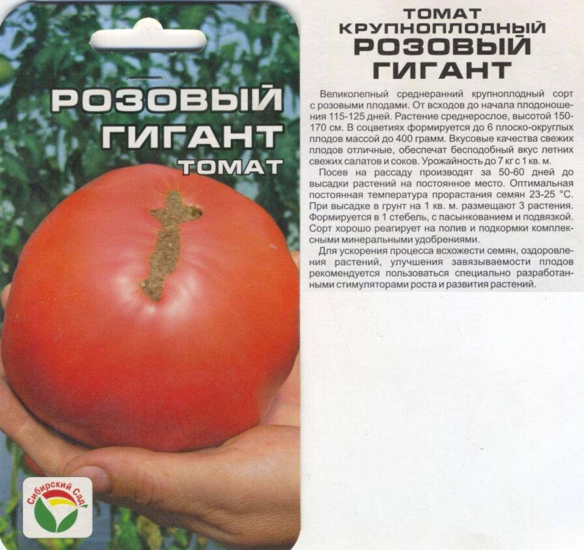 Томат сибирский гигант: характеристика и описание сорта, особенности выращивания