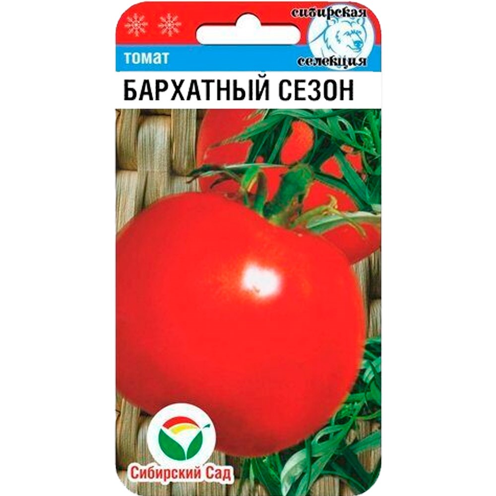 Низкорослые сорта томатов для теплиц и открытого грунта