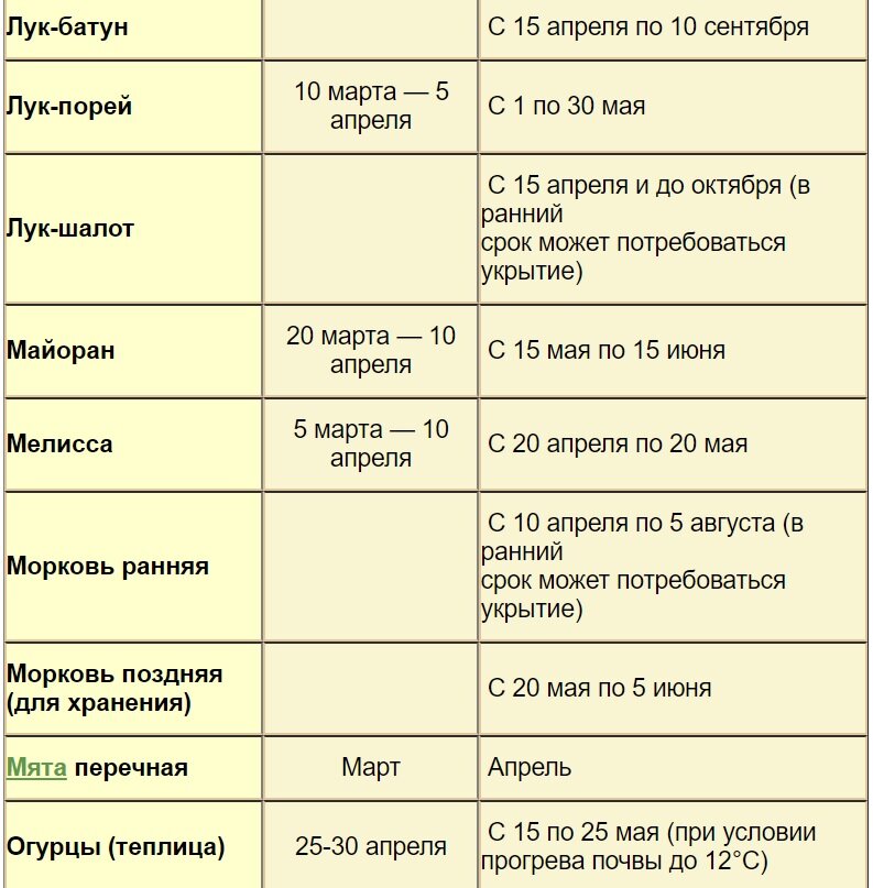 Высадка огурцов в открытый грунт семенами, когда и как сажать правильно