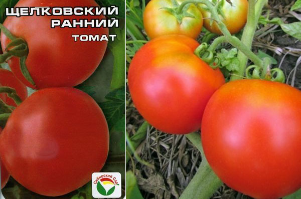 Надежный, хорошо зарекомендовавший себя экстраранний сорт томата «щелковский ранний»