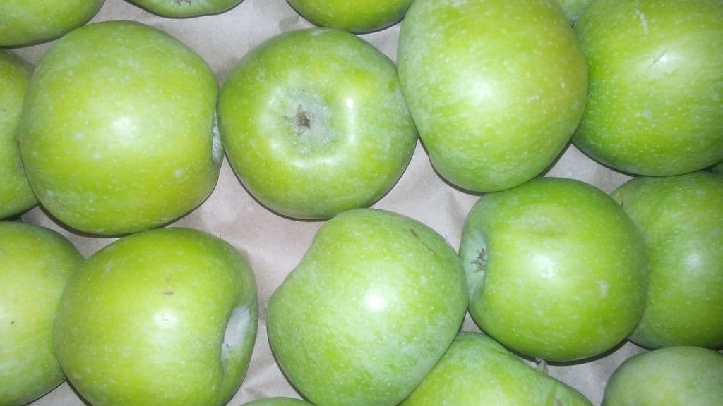 Правила сбора и хранения яблок сорта симиренко — сколько хранится, что делать, чем опасно