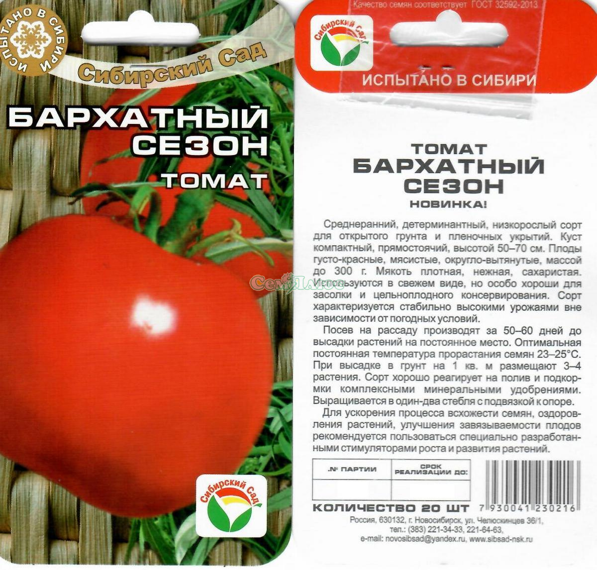 Описание томата Бархатный сезон, правила выращивания в открытом грунте и теплицах
