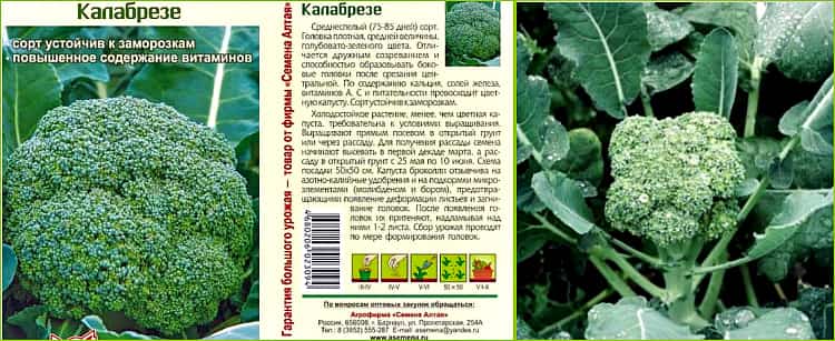 Капуста брокколи, разновидности, выращивание и фото