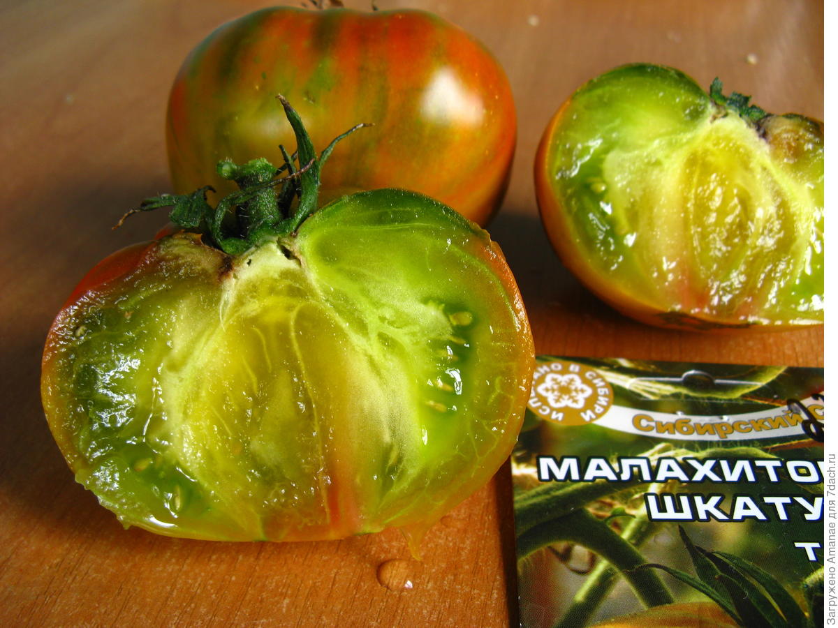 Специфика выращивания и характеристика томата малахитовая шкатулка
