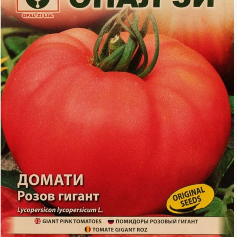 Розовые помидоры: описание и характеристика сорта и его разновидностей