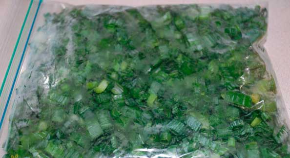 Можно ли зеленый лук заморозить: как сохранить свежими перья на зиму в холодильнике в пакетах, как замораживать в бутылке и иными способами?