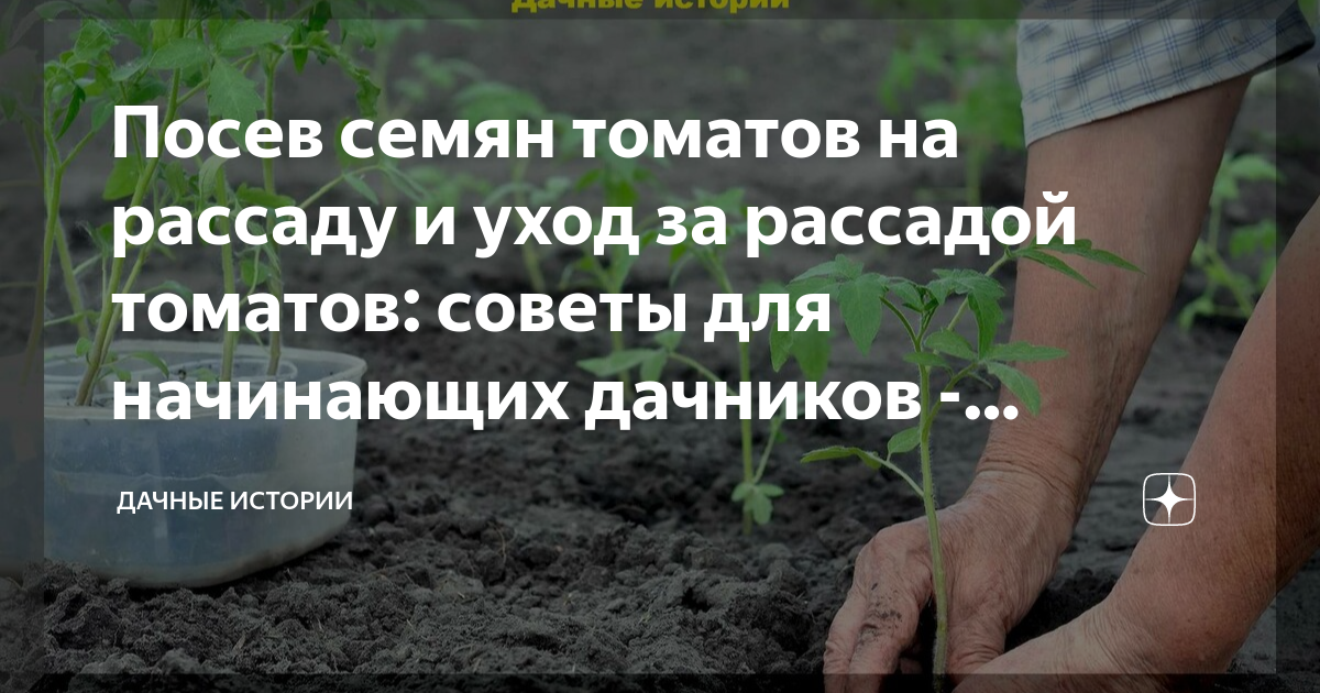 Две недели не всходят томаты. / асиенда.ру