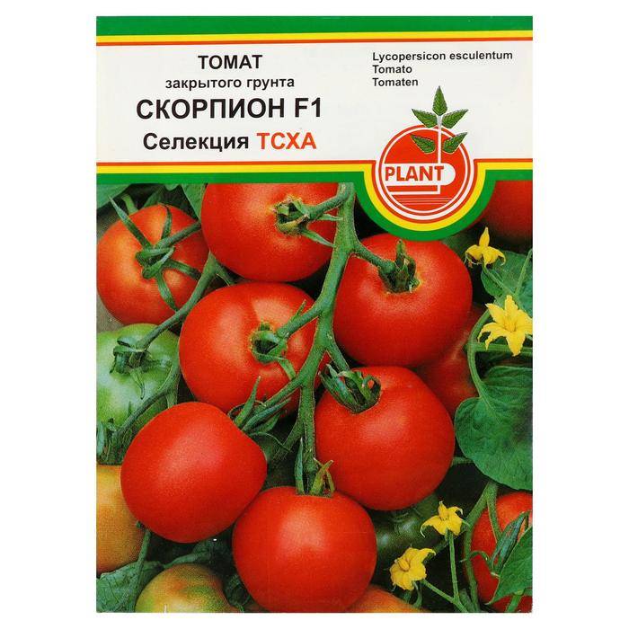 Описание крупноплодного томата Скорпион и особенности выращивания сорта
