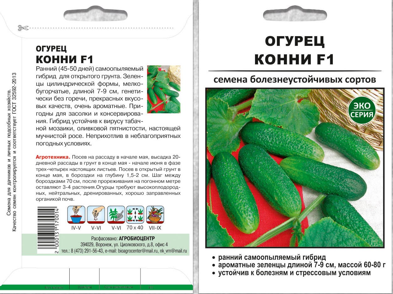 Сорта огурцов для теплицы: самоопыляемые для урала, какие семена лучше всего подходят, особенности посадки и выращивания