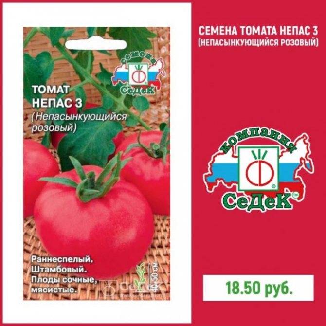 Непасынкующиеся сорта томатов для открытого грунта