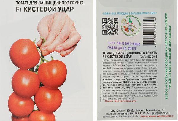 Характеристика томата Кистевой f1 и выращивание гибридного сорта