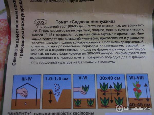 Фото, видео, отзывы, описание, характеристика, урожайность сорта томата «садовая жемчужина».