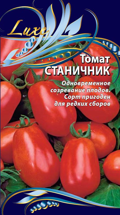 12 сортов томатов, испытанных мною в прошлом году. личный опыт. фото — ботаничка