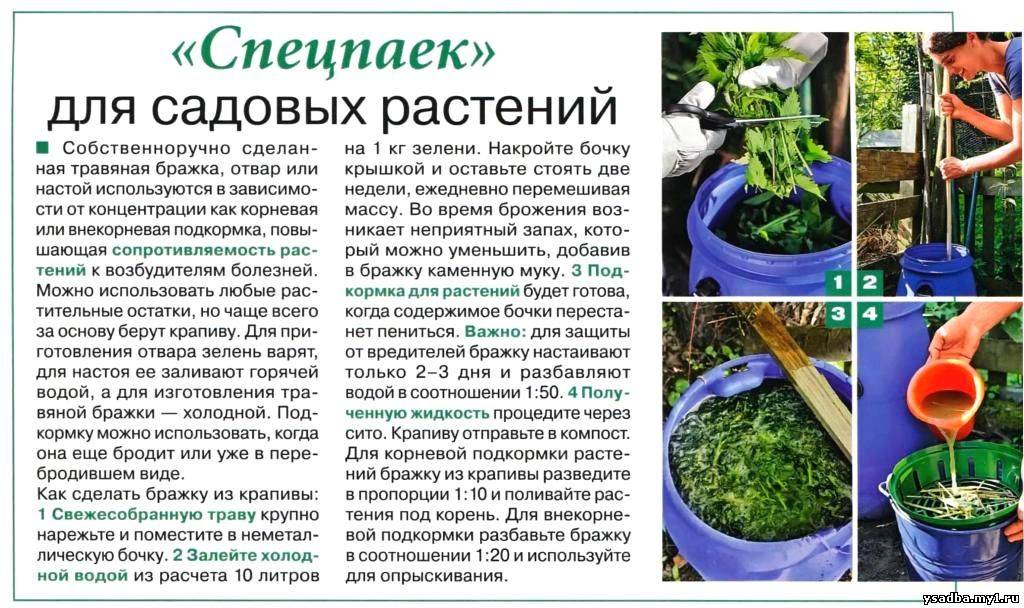 Удобрения для овощных растений огурцов томата и перца
