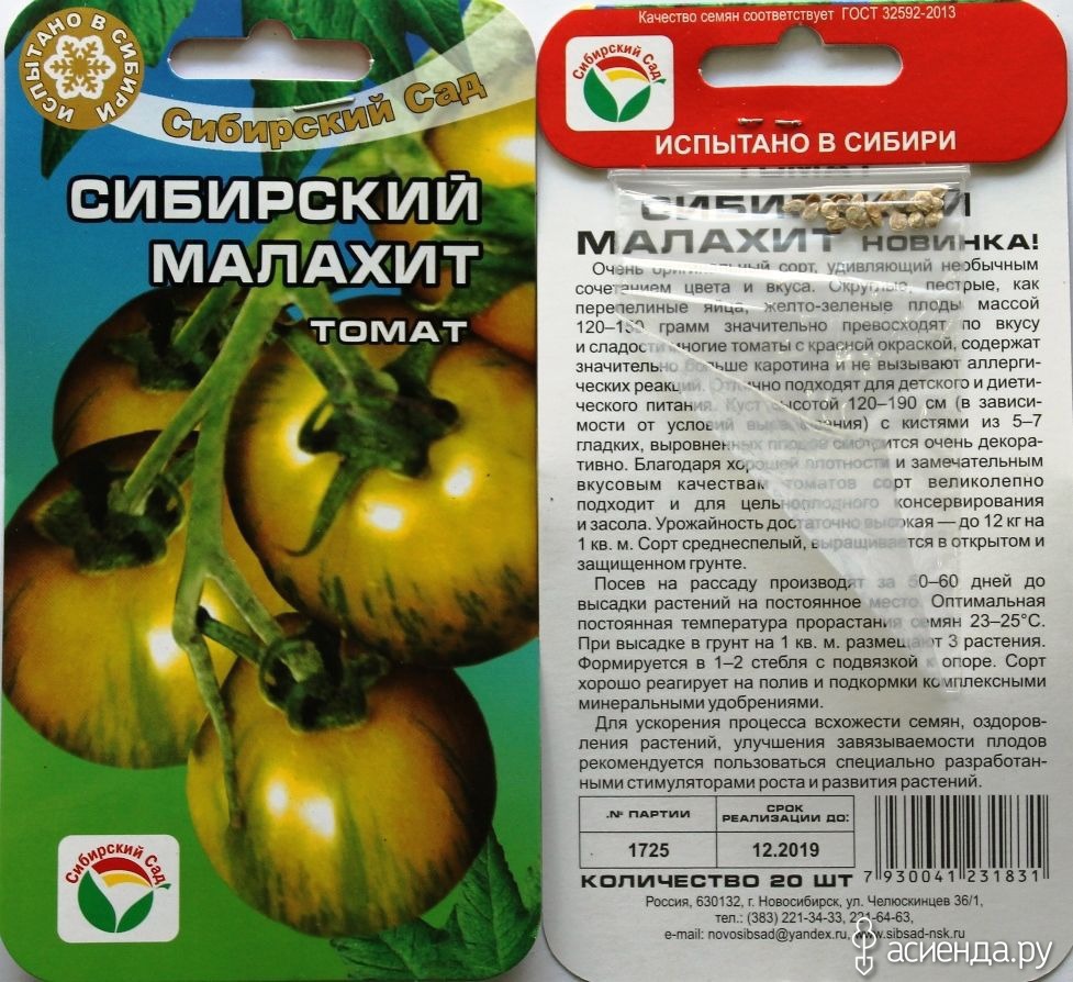 Томат «малахитовая шкатулка»: настоящий изумруд от сибирских коллекционеров, как правильно выращивать эти помидоры