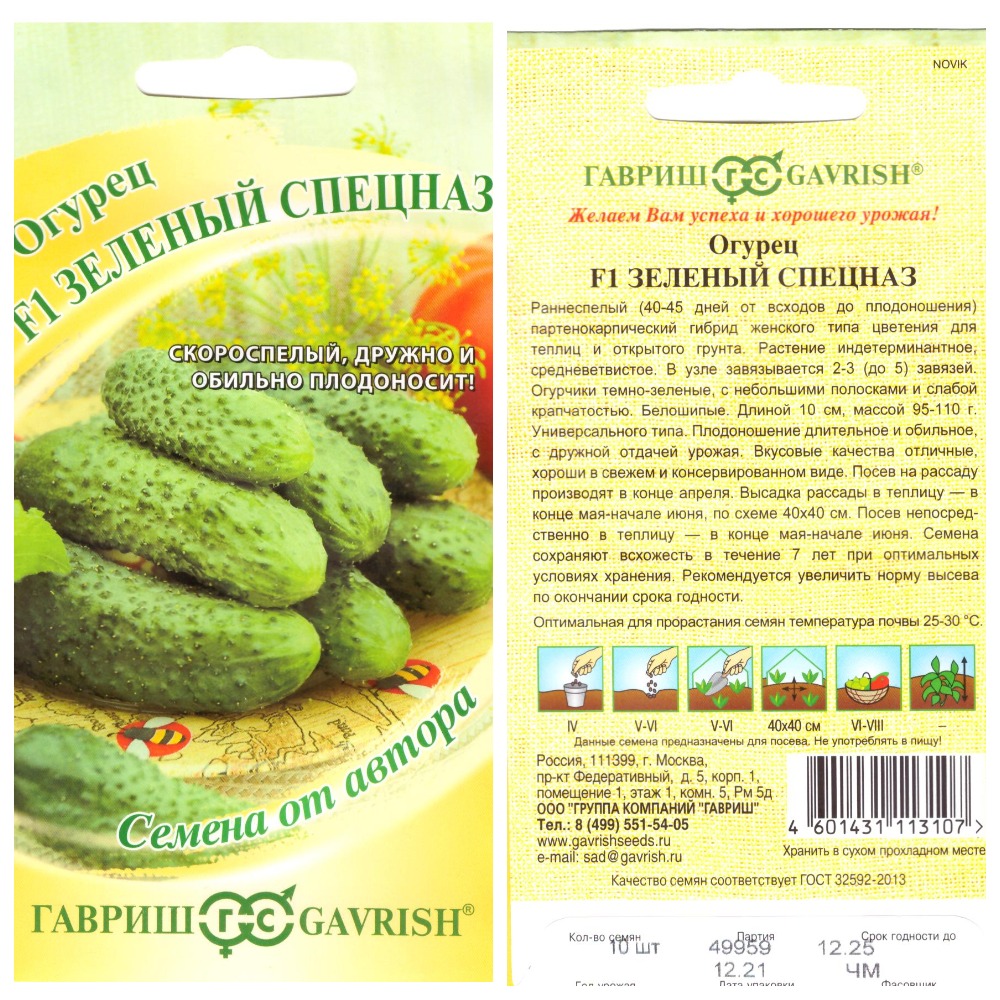 Почему огурцы мягкие в теплице, на грядке, при засолке в банке