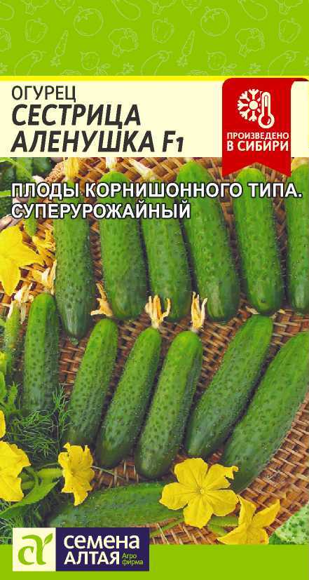 Огурец сестрица аленушка f1: отзывы, описание сорта и фотографии, устойчивость и урожайность – zelenj.ru – все про садоводство, земледелие, фермерство и птицеводство